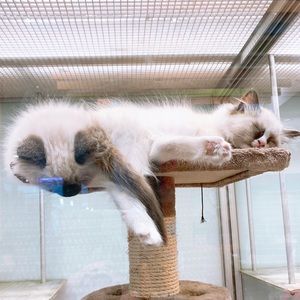 Meet your Posher, Janet